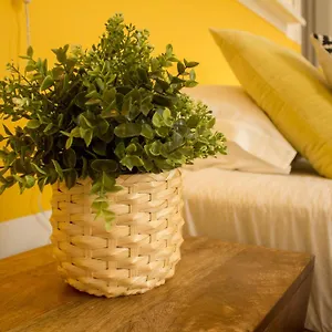 3* Bed and breakfast Intendente 1865